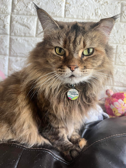 Heckin' Chonky Enamel Pet Tag - LIQUIDATION!