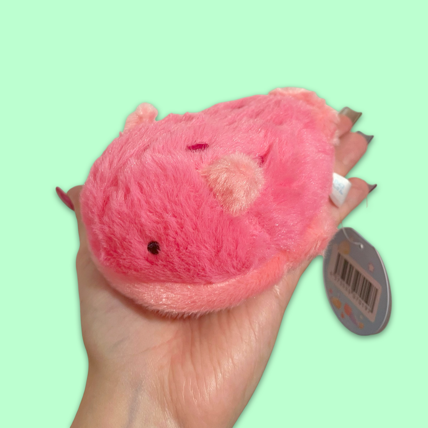 Kawaii Fluffy Sea Slug Plush 12cm