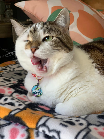 Heckin' Chonky Enamel Pet Tag - SALE!