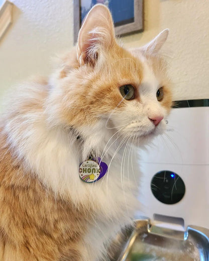 Heckin' Chonky Enamel Pet Tag - SALE!